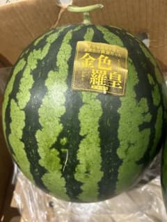 金色羅王黄色いスイカ激甘！のサムネイル