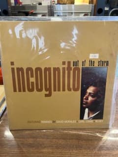 Incognito Out of the Storm LPレコードのサムネイル