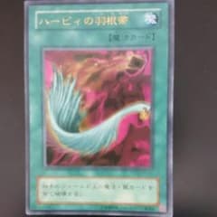 kazuさま専用 ハーピィの羽根箒のサムネイル