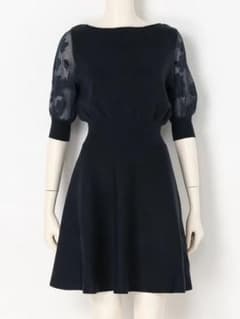 snidel  刺繍シースルー袖Aラインワンピースのサムネイル