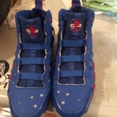 コメント割で7000円 NIKE AIR BARKLEY POSITE MAXのサムネイル