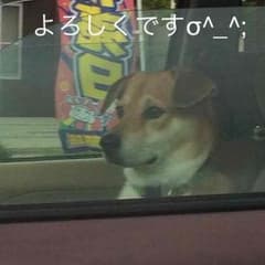 らんらんサン専用のサムネイル