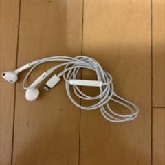 Apple EarPods with Lightning Connector