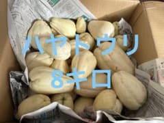 ハヤトウリ　訳あり　6のサムネイル