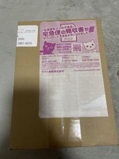 レイジングサーフ box 未開封シュリンク付のサムネイル