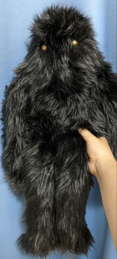 ファブリコ　イエティ　yeti　ぬいぐるみ　丸山隆平さんのサムネイル