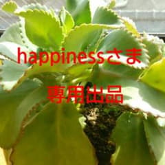 お客さま専用出品です(*^^*)のサムネイル