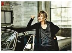 セール中Acid Black Cherry 　L   FC 特典ポスター両面２枚のサムネイル