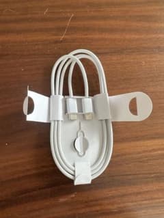 USB-C 充電ケーブル SIMピン付き ホワイトのサムネイル