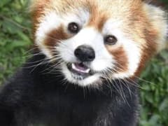 t.f様専用のサムネイル