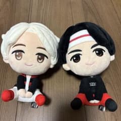K-POP 아이돌 TINYTAN 봉제인형 2체 세트