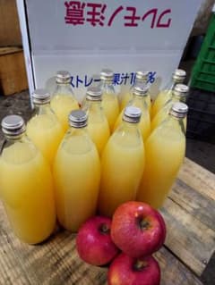 青森りんご　サンふじ100%　りんごジュース　1L12本入り 送料込　春絞り 青森りんご サンふじ100% りんごジュース 1L12本入り 送料込 ラベル