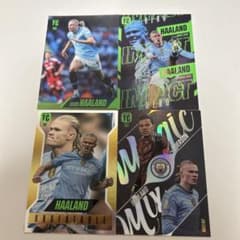 m79223870332_1.jpg?1753460721