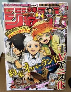 週刊少年ジャンプ 2018年26号のサムネイル