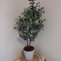ユーカリの木130cm タイプ！銀丸葉 ！ 大型フェイクプランツ！ 未使用品！ ユーカリの木130cm タイプ！銀丸葉 ！ 大型フェイクプランツ