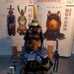 m79239651687_1.jpg?1734492859