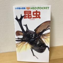 昆虫のサムネイル