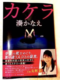 カケラのサムネイル