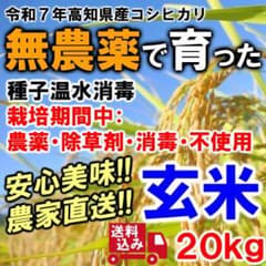 ✨玄米２０kg【農薬：栽培期間中不使用】R7年産 高知 コシヒカリ 【農家直送】 ✨玄米20kg【農薬：栽培期間中不使用】R7年産 高知 コシヒカリ
