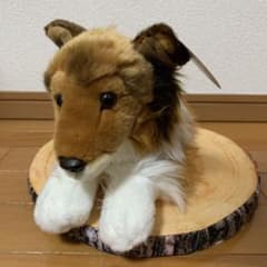 REGALO コリー　ぬいぐるみのサムネイル