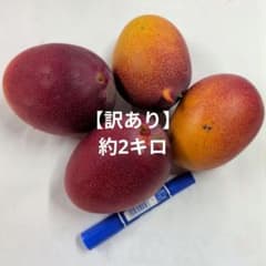 【訳あり】宮崎県産完熟マンゴー　約2キロのサムネイル