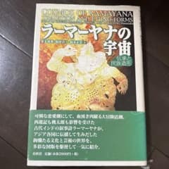 ラーマーヤナの宇宙 伝承と民族造形のサムネイル