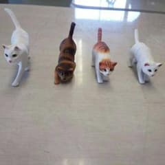 猫、犬磁石のサムネイル
