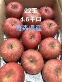 青森県産りんご　ミニサイズ　フジ　今年ラスト‼️のサムネイル