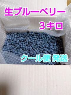 ブルーベリー ３キロ クール(冷蔵)便発送のサムネイル