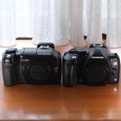 k*u様 OLYMPUS E-300 E-520 & ズーム2本　撮り比べ　美品 k*u様 OLYMPUS E-300 E-520 & ズーム2本 撮り比べ 美品 - メルカリ