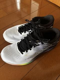MIZUNO WAVE RIDER 25 27センチOsaka Marathonのサムネイル