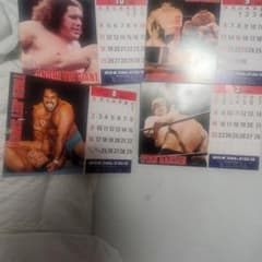 新日本プロレス 1981年 カレンダー 選手写真カードセット - メルカリ