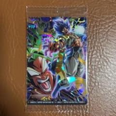 イタジャガ　ドラゴンボール　ゴジータ&ブロリー　メガニウム様専用のサムネイル