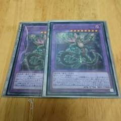 ドラゴスタペリアのサムネイル