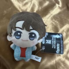 BTS tinytan 꼬마 장난감 종국 DNA 봉제 장난감