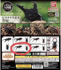 いきもの大図鑑　くわがた06 ノコギリクワガタ（本土）黒のサムネイル