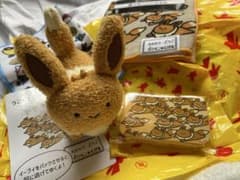 ポケモン 逃 イーブイ ぬいぐるみ プチ缶 選べる ハンドタオル セット