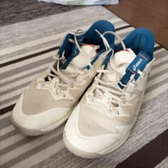 30cm asics アンプレアルス ロー２のサムネイル
