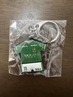 り*ら様 東京ヴェルディ 山田 剛綺 ユニフォーム型ラバーキーホルダー 13番のサムネイル