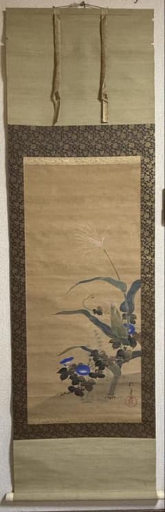 酒井抱一筆 絹本肉筆 朝顔 沒骨法 掛軸 送料込み250824 - メルカリ