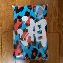湘南乃風　2015年のサムネイル