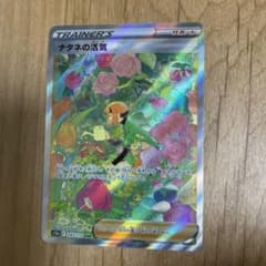 ナタネの活気 SARのサムネイル