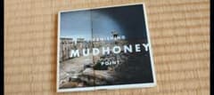 Mudhoney Vanishing Point CD