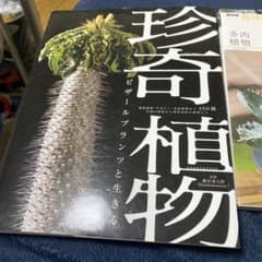 観葉植物の本3点セットのサムネイル