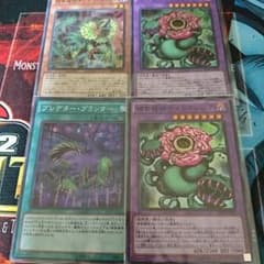 捕食植物セットのサムネイル