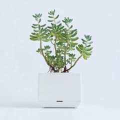 CUBIC BY MASANORI UMEDA／MARUTOMI プランター 鉢のサムネイル