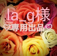 la_g様♡専用ページのサムネイル