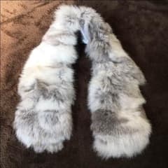 ファーのサムネイル