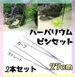 ハーバリウム用ピンセット ロング 27cm 2種類セット テラリウムのサムネイル