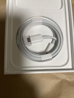 Apple 純正ライトニングケーブル　タイプCのサムネイル
